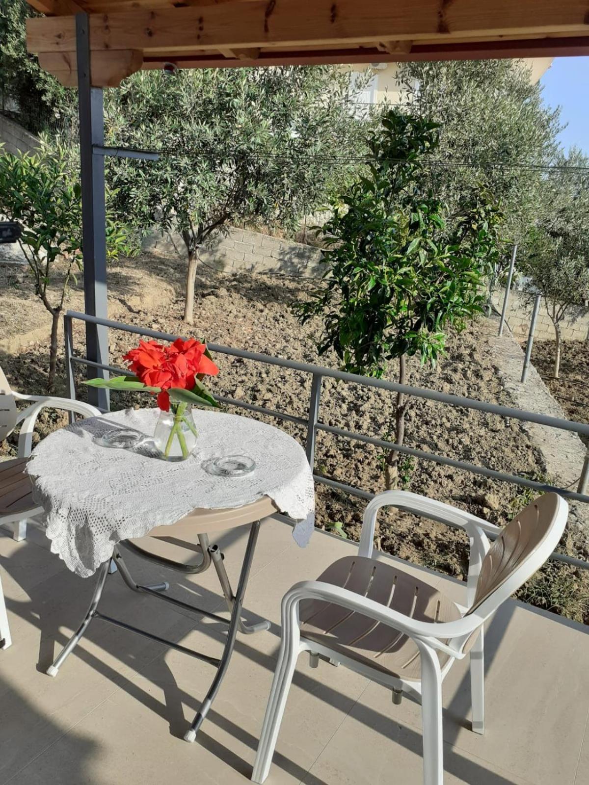 Coral Guesthouse ساراندا المظهر الخارجي الصورة